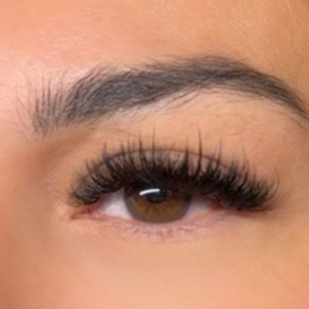 Wispy Volume at Evanly Lashes in Weslaco, TX