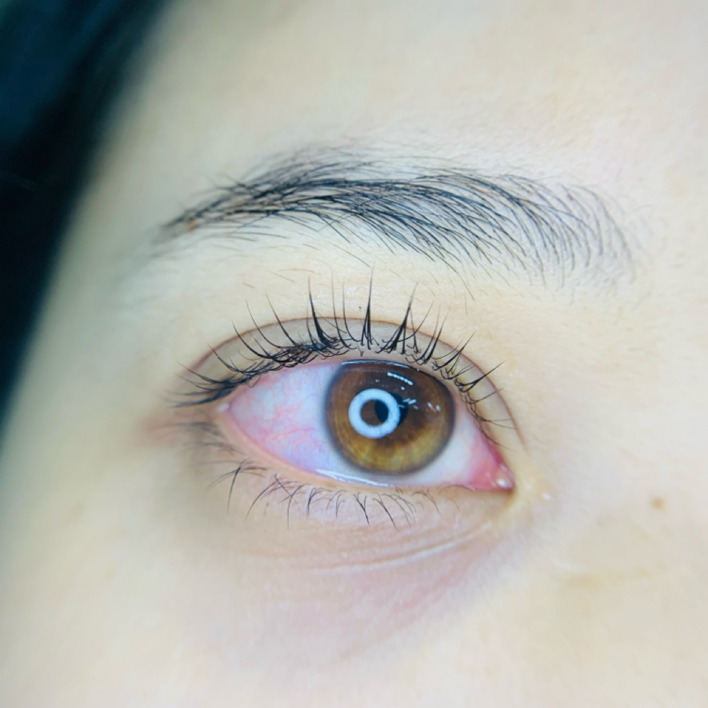 Lash Lift/ Lash Curl Keratin+tint at Luna Muse Beauty in Sarasota, FL