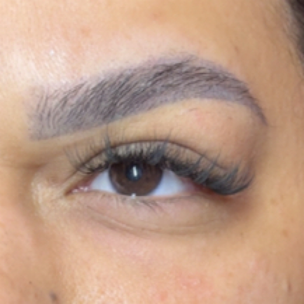 Lash Fill (3 week) at Shaded By Chante in Decatur, IL
