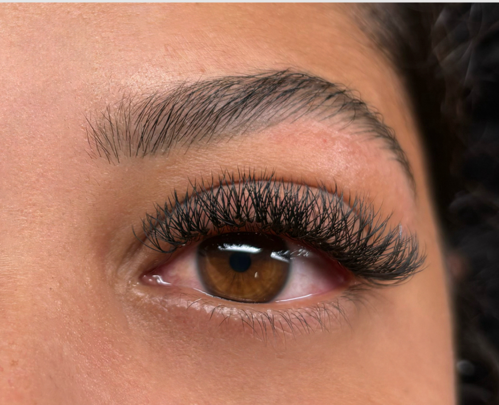lashes W y Y