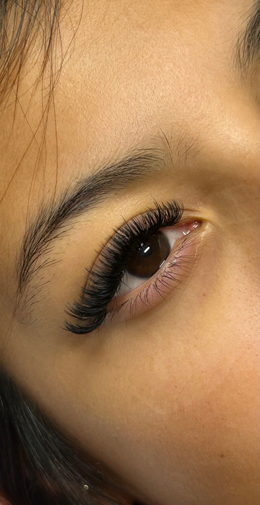 Volume Set at Love U Lashes in Buford, GA