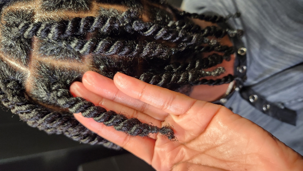 2 Strand Twist