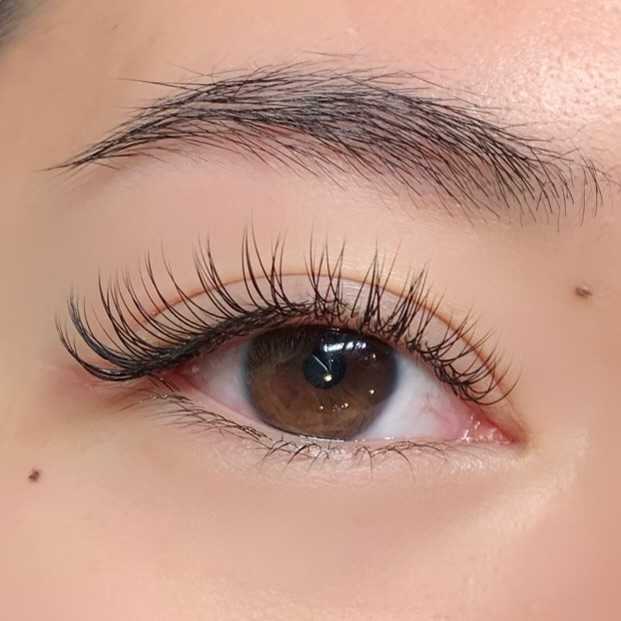 Classic Lash Extension Fill