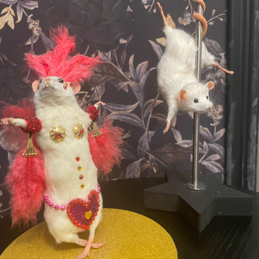 Haircut, Beard Trim, Color Camo at The Bearded Lady Barbering in Noblesville, IN