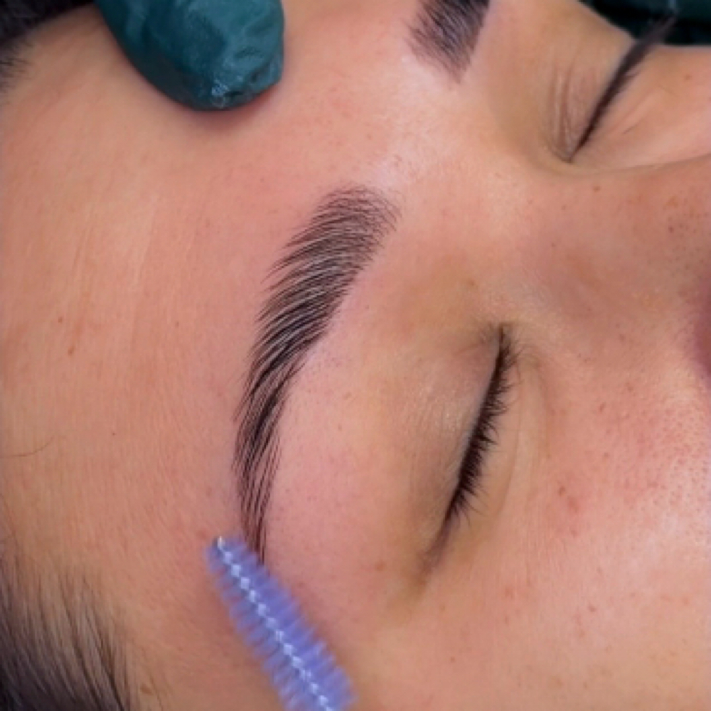 Brow Lami, Dye, & Wax at The Opal Loft in Grand Blanc, MI