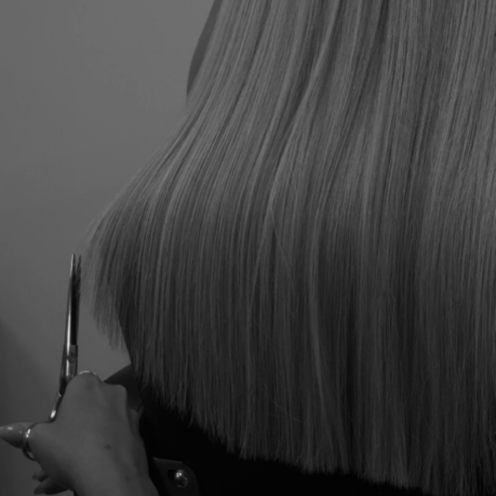 DRY CUT at danitooglam in san antonio, TX
