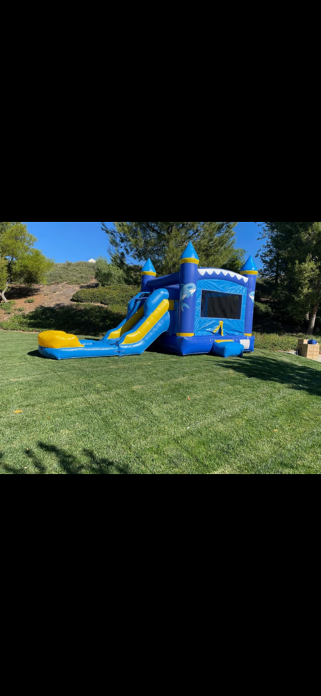 Dolphin Deluxe Combo at Wonderland Inflatables in Louisville, KY
