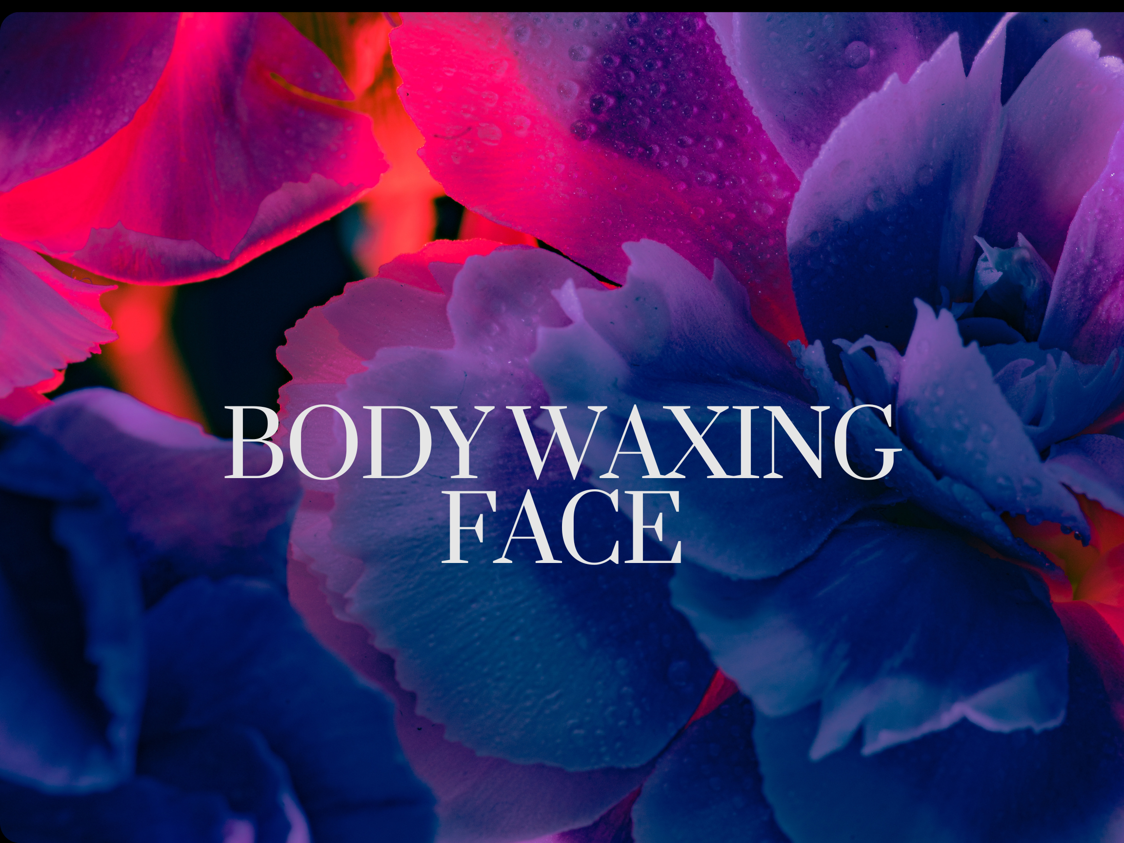 Body Waxing (Face)