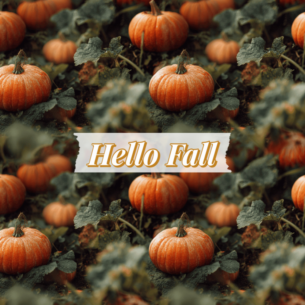 Seasonal Facial at Opulence Esthetics in Delphi, IN