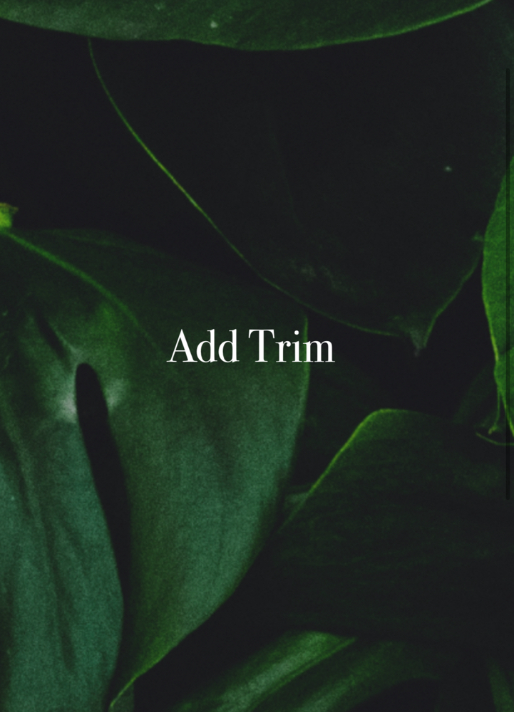 Add Trim at Anestie Beauty Lounge in Franklin Square, NY