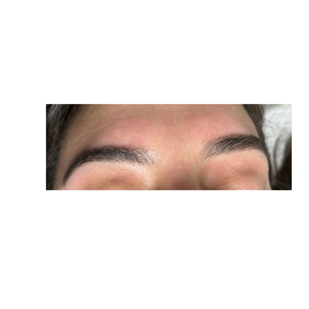 Eyeborw Wax & Tint