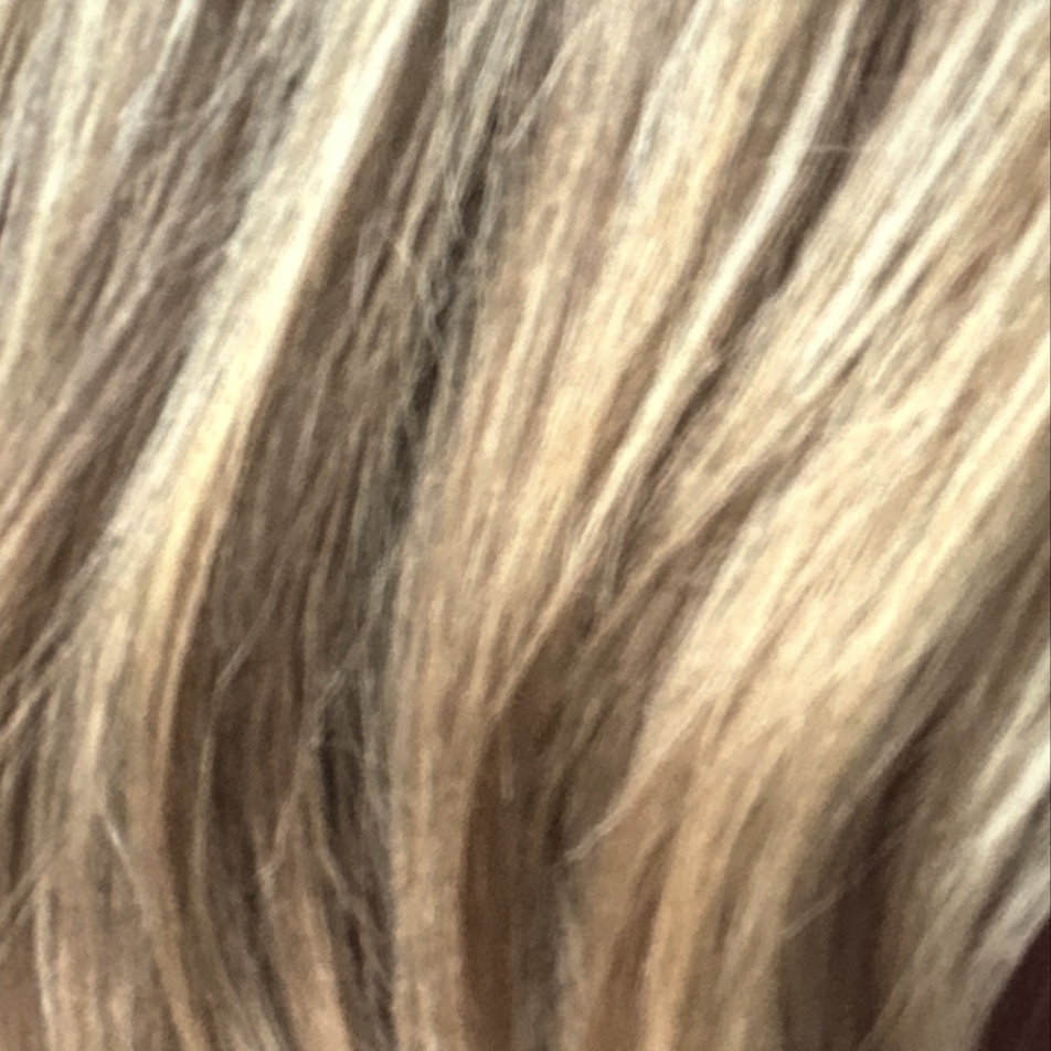 Partial Lightening at Hair by Hailey DeAnn in Granite Bay, CA