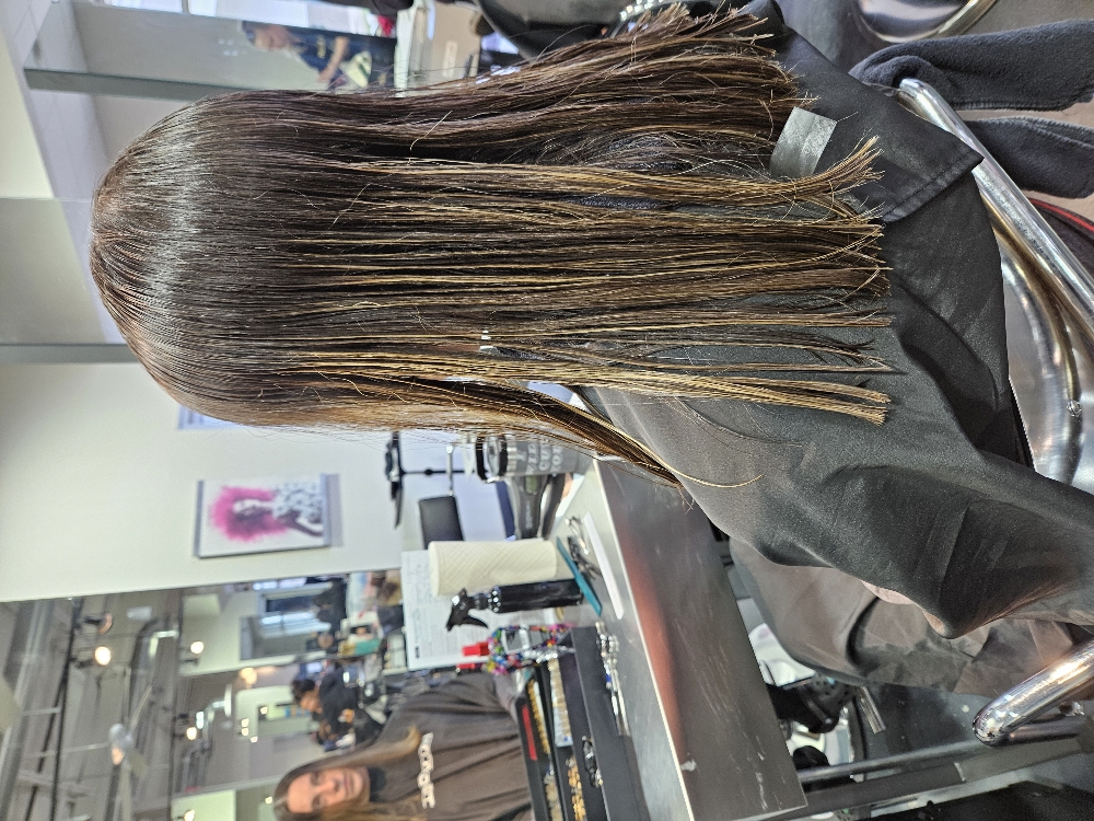 Shampoo & Cut (No Blow dry