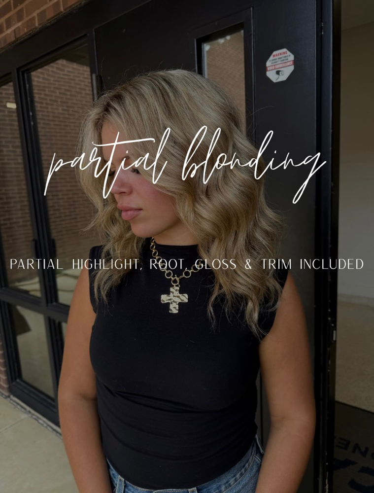 Partial Highlight at Hair by Kenzie in Johnson City, TN