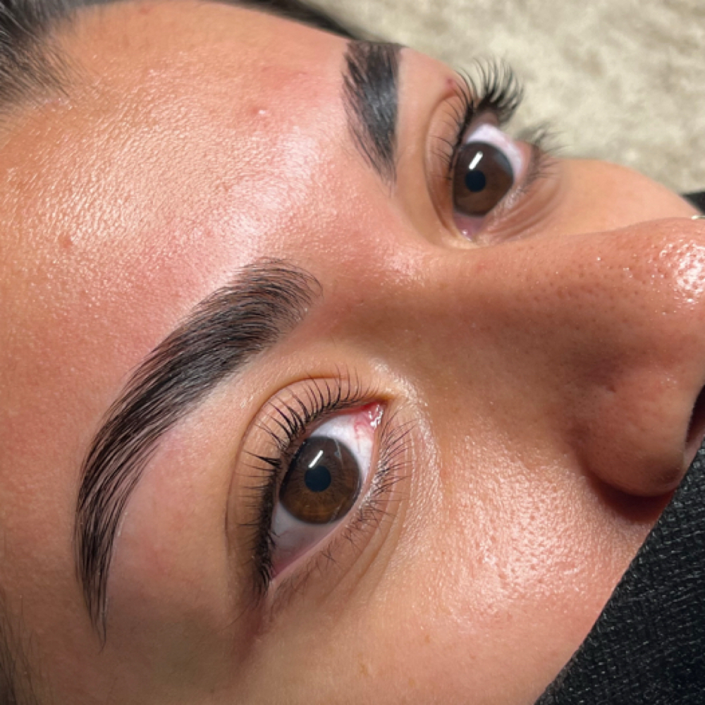 Brow Lamination + Wax at Martini Esthetics in Concord, CA