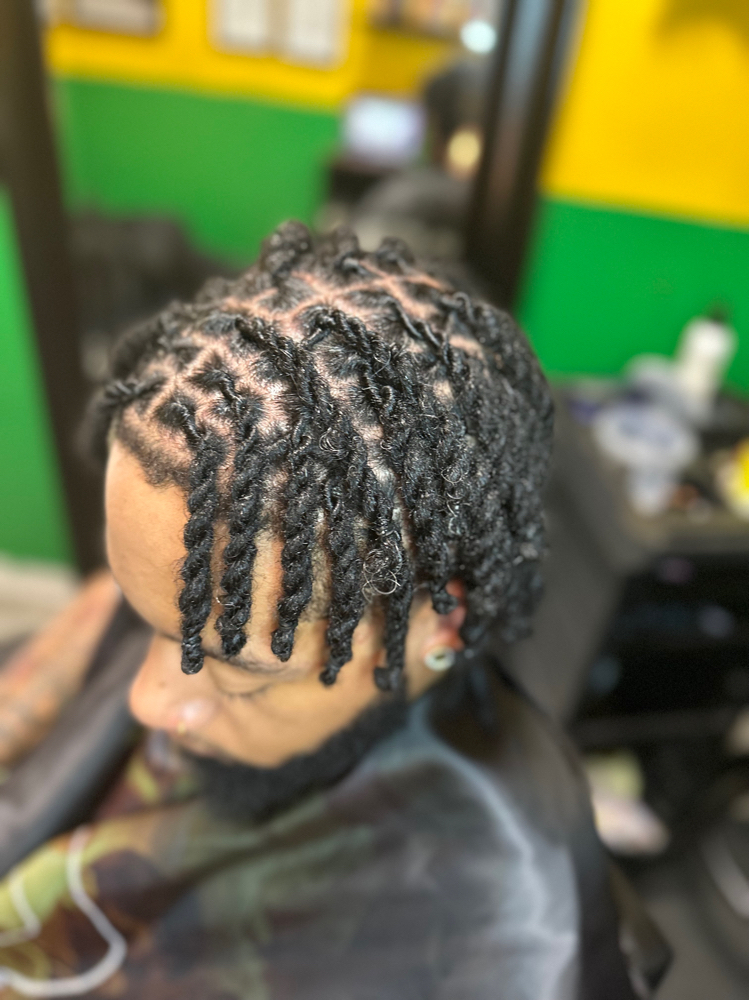 Loc Retwist & 2 Strand/Rope Twist