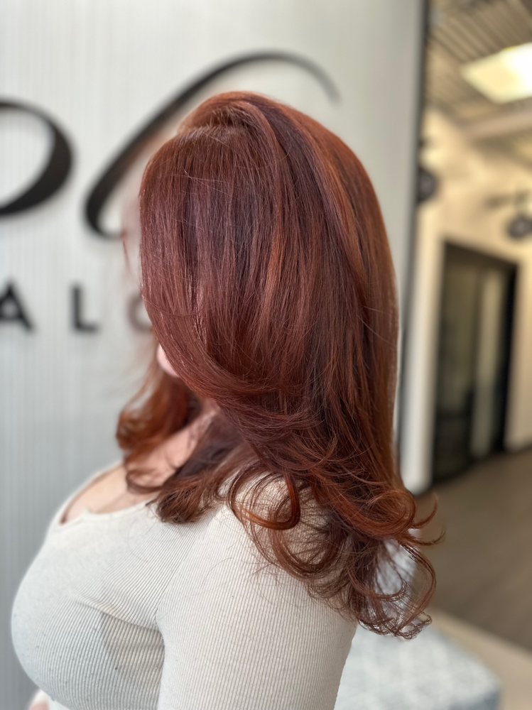 Full Color Touch Up w/ Haircut