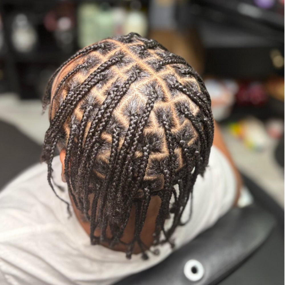 Individual Braids (NO ADDED HAIR) at Jessi's Place Locs And More in Montgomery Village, MD