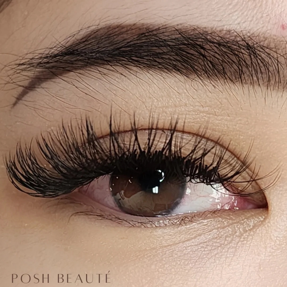 KOREAN LASH STYLE