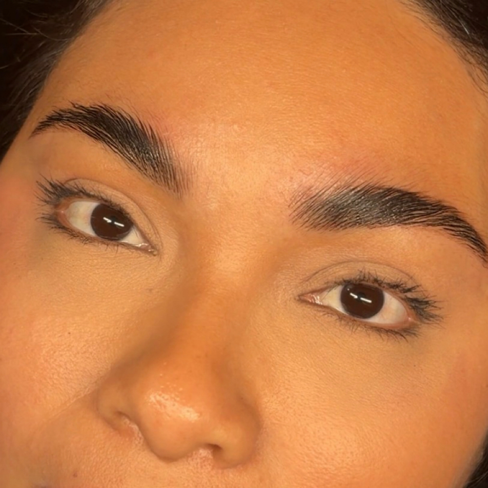 Brow Tint at LashQueensByRosa in brownsville, TX
