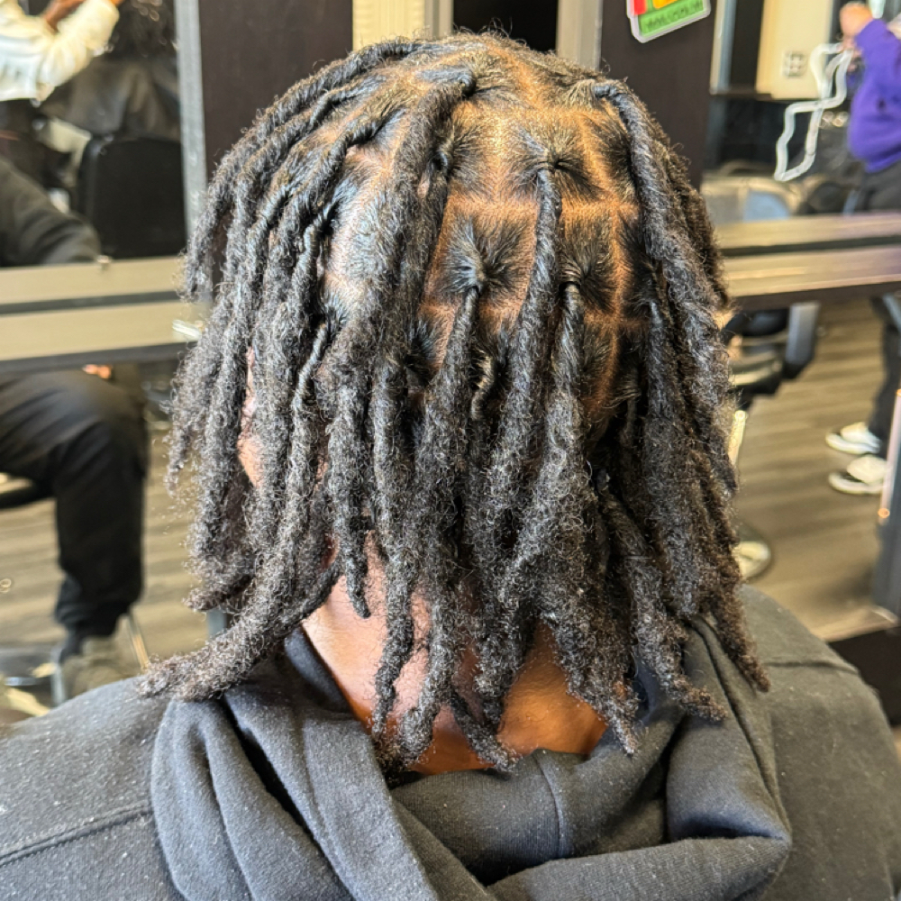 Loc Retwist (Adults) at Touched Artistry in Urbana, IL