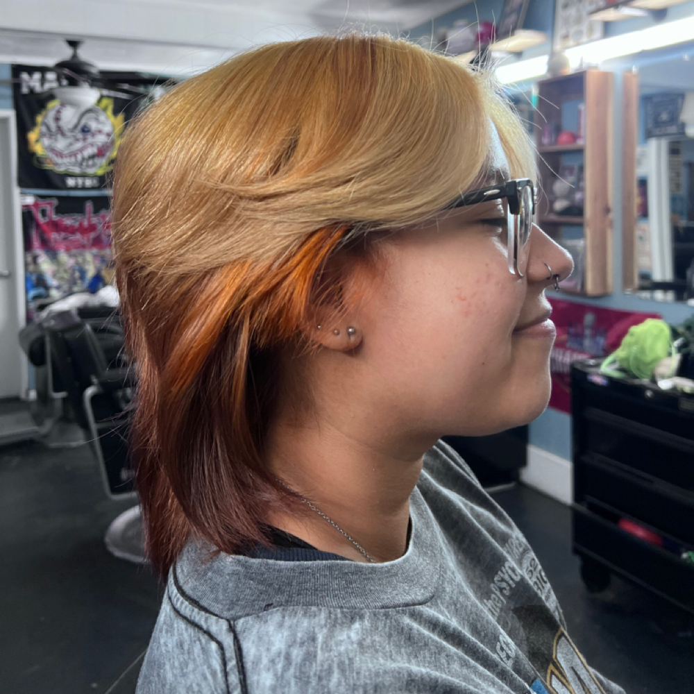 🍒 Short Hair Color Above Shoulders at Velvet Moon Hair & Nails Studio in Ventura, CA