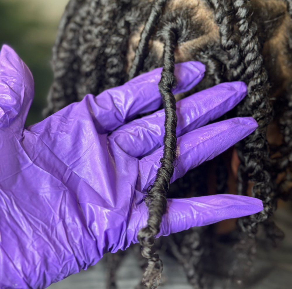 Starter Locs at ECLECTIC STYLEZ in Portsmouth, VA