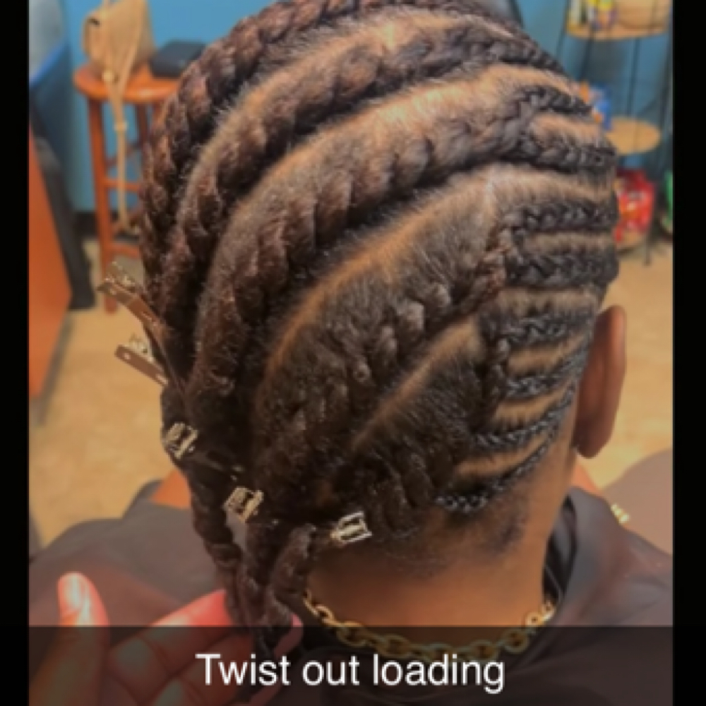 Flat Twist Out with a Blow-Dry at Hair By ElahVee in Omaha, NE
