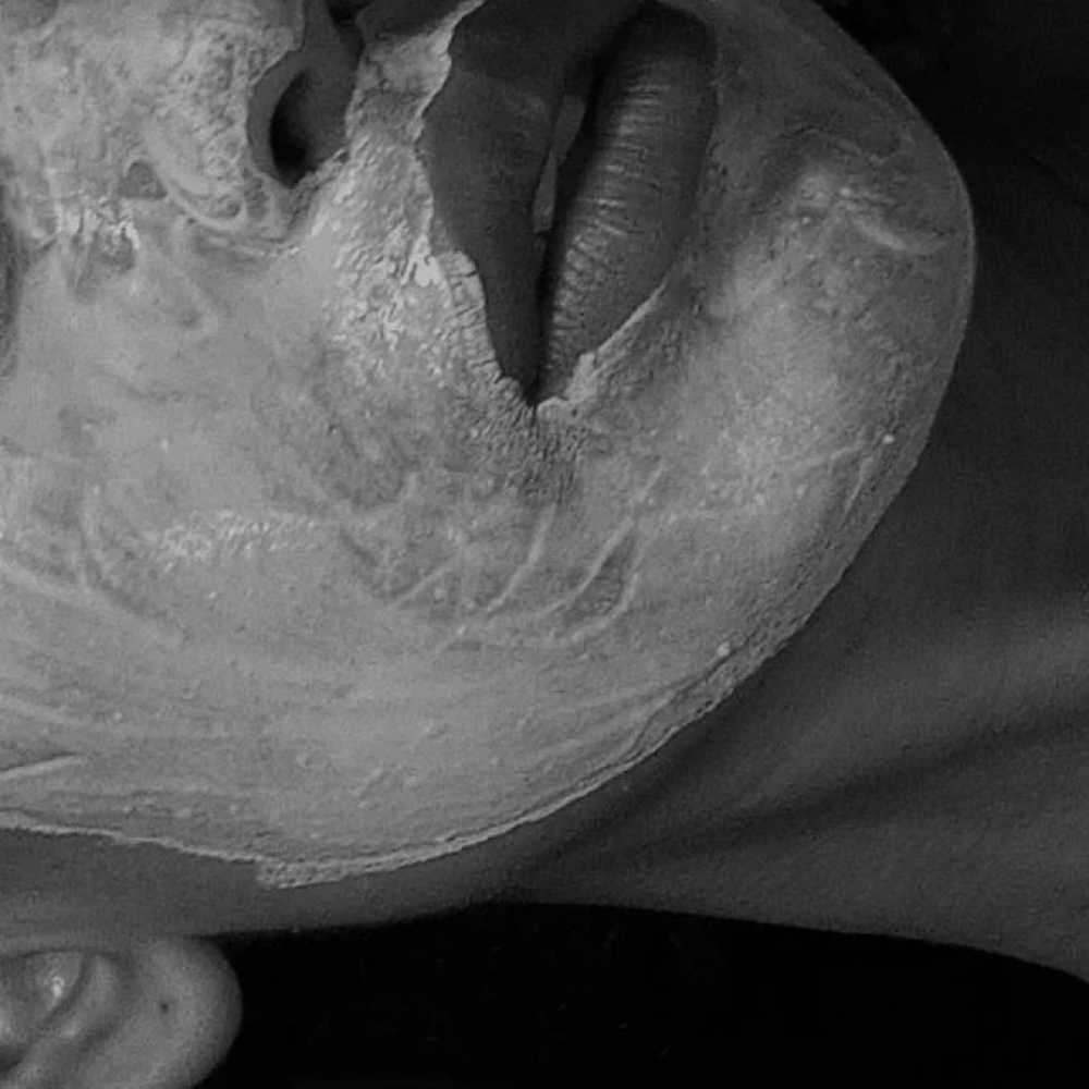 Custom 60 Skin Treatment at Esthetics by Haley in Perrysburg, OH