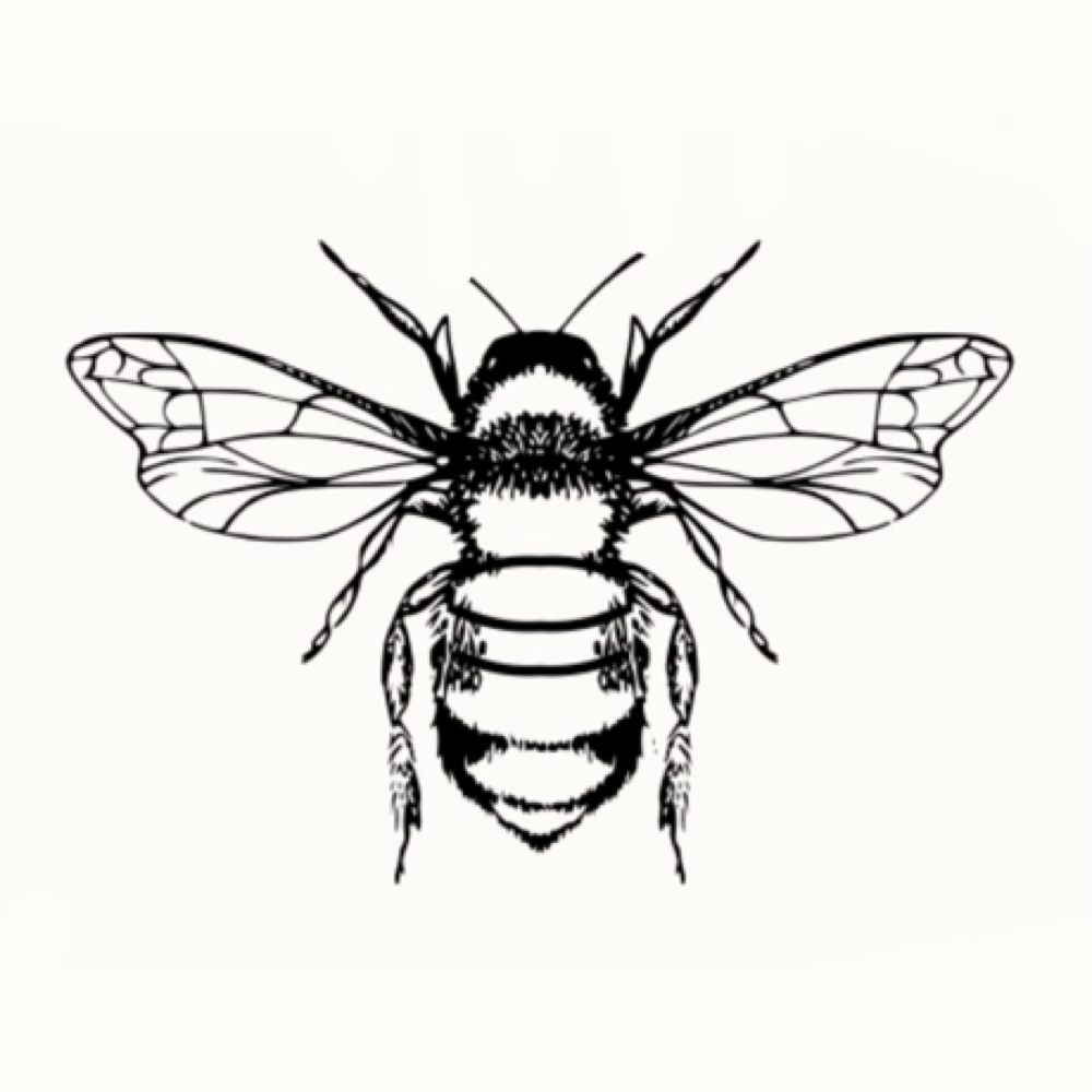 Bridal Package Monthly Facial