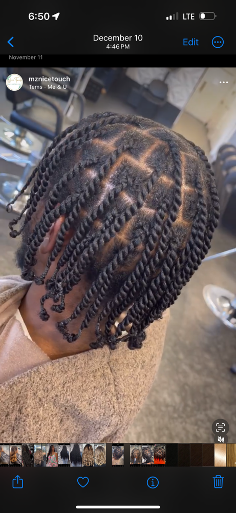 Small 2 Strand Twist