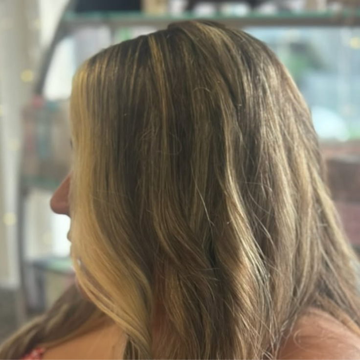 College Student highlight special at Mariposa Collective in Essex Junction, VT