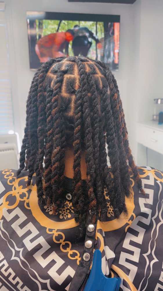 Loc Extensions HALF-HEAD Human Hair