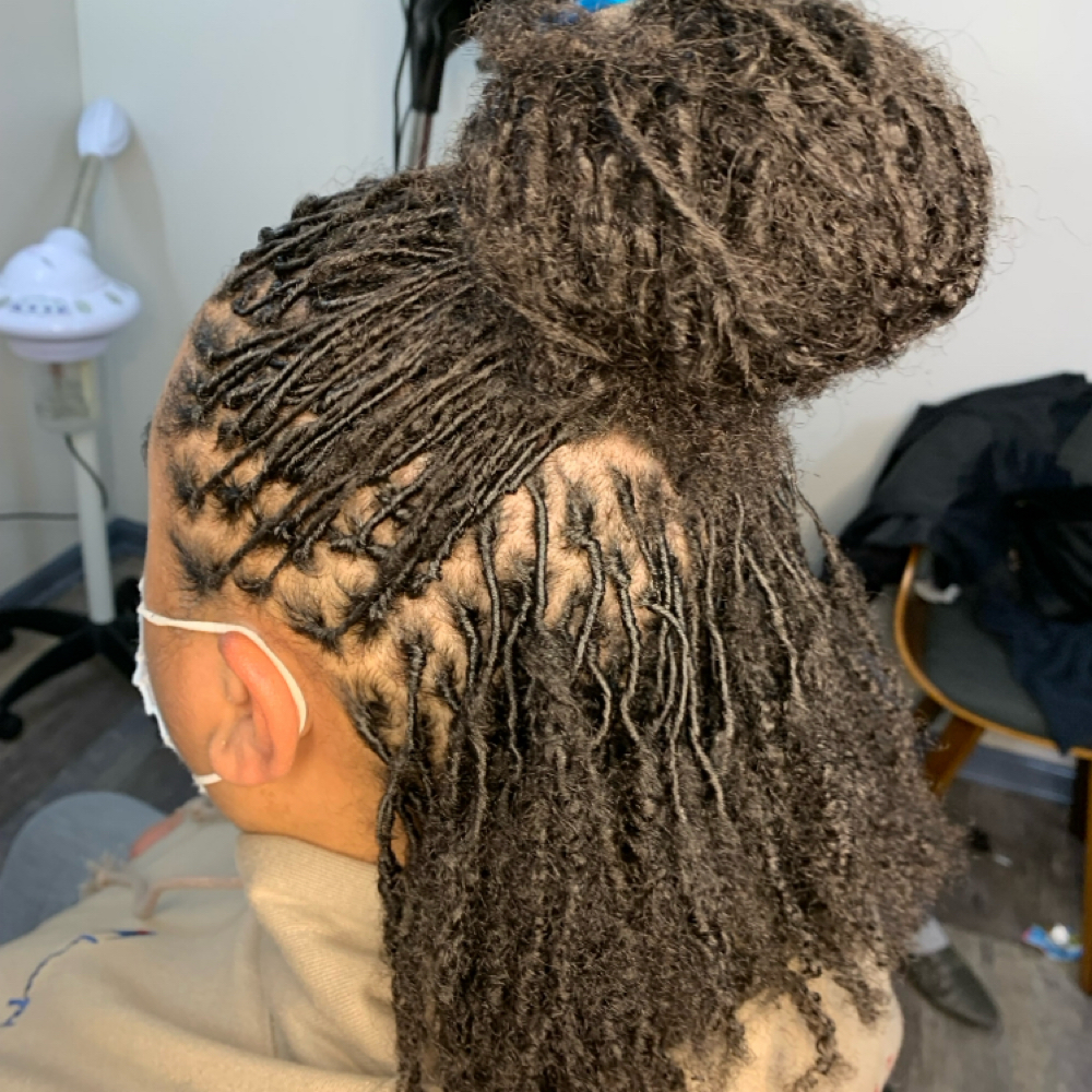 Starter Micro Locs