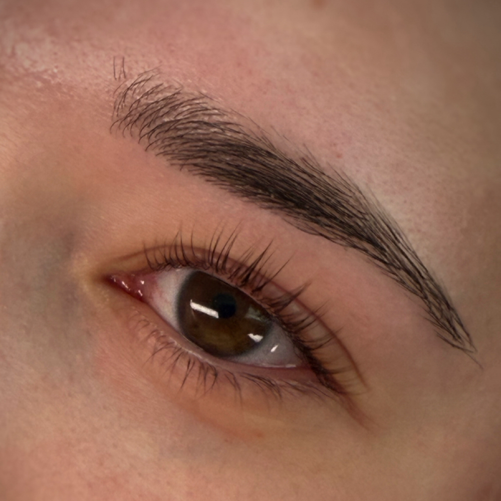 Lash Lift & Tint at The Opal Loft in Grand Blanc, MI
