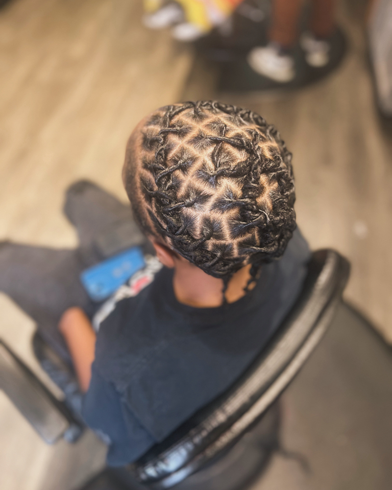 Starter Locs / Comb Twist