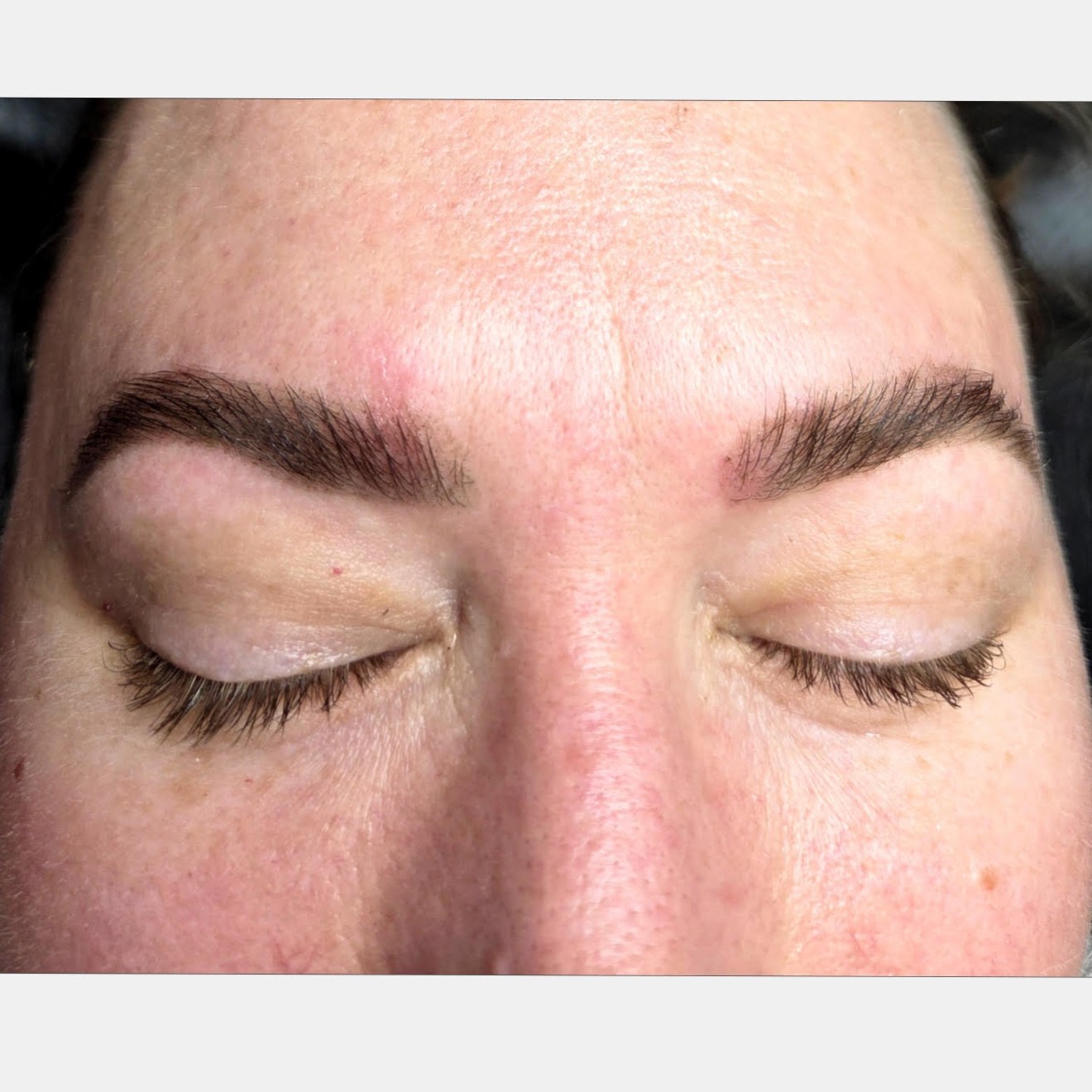Brow Wax & Tint at Lotus in Bloom Esthetics in Brooklyn Center, MN