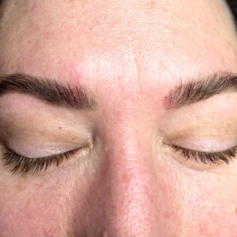 Eyebrow Wax & Tint