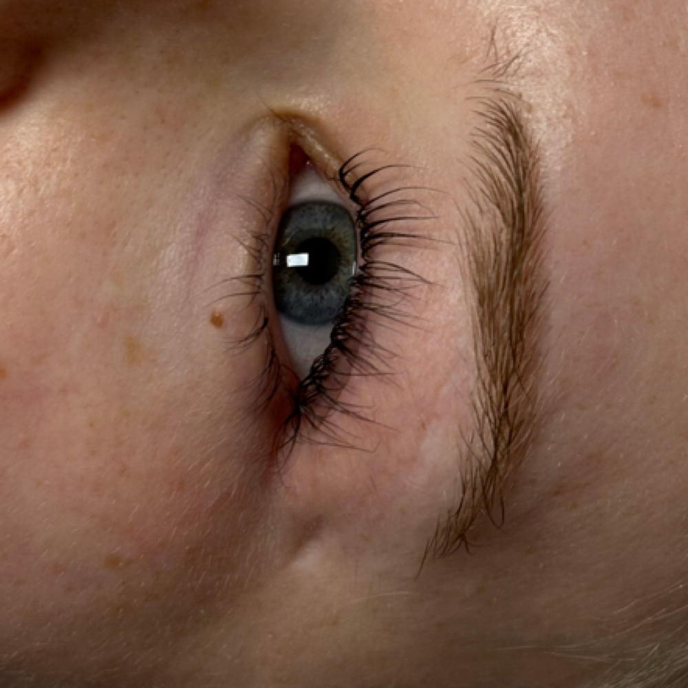 Lash Tint at Groovy Lash in Allen, TX