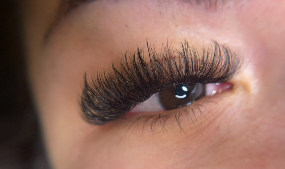 The Volume Lash Set