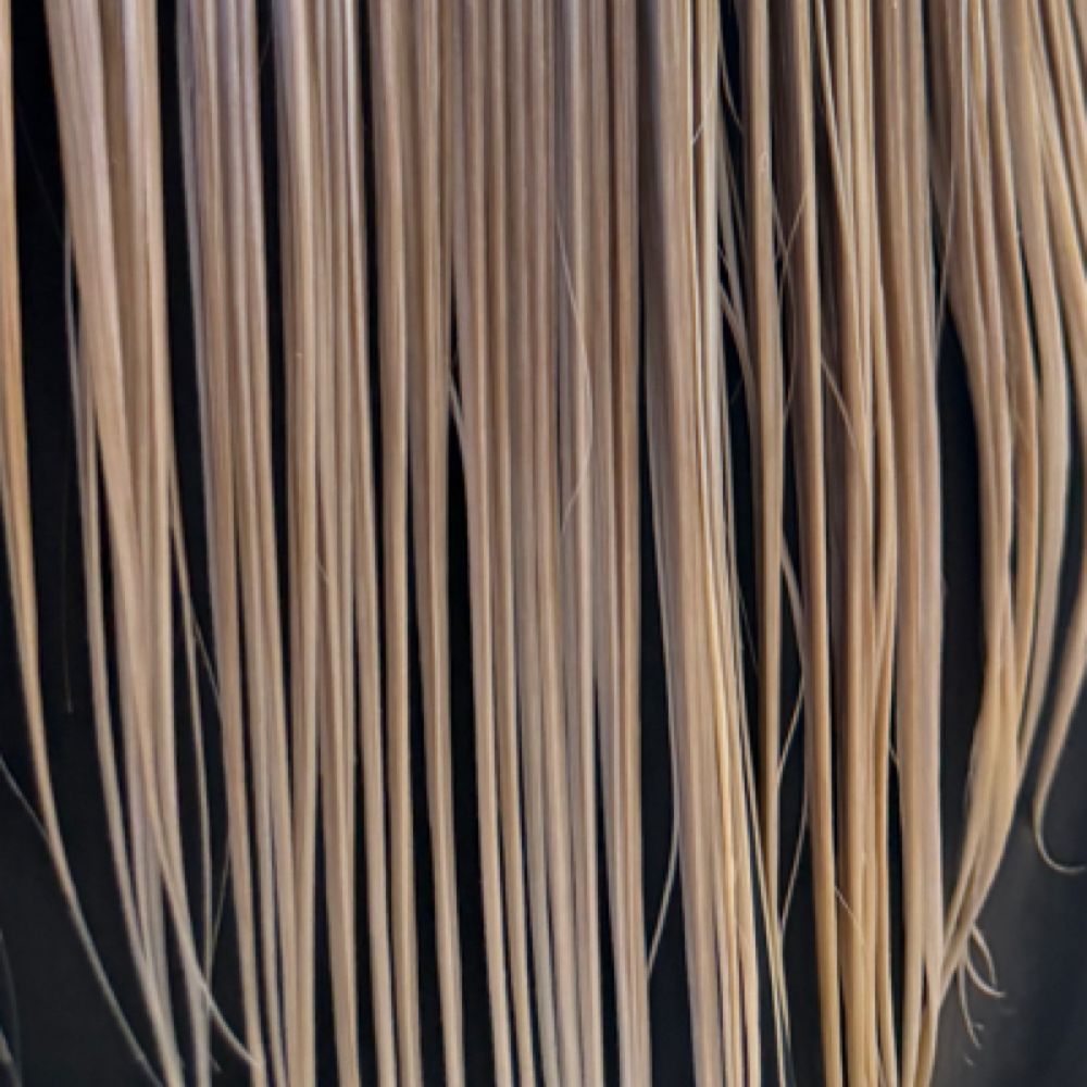 Shampoo + Blowout at Hair by Alexandria in Huntersville, NC
