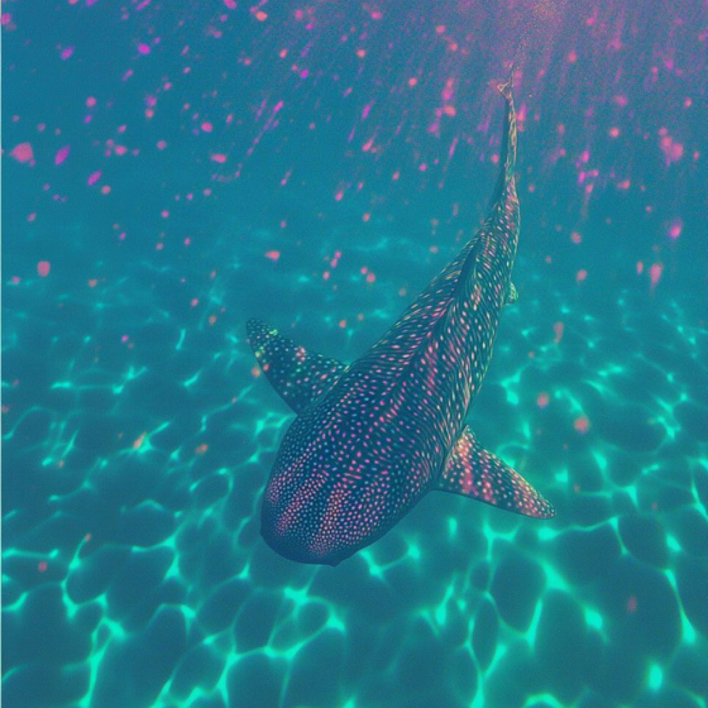 🫧Splash & Dash Glow🫧