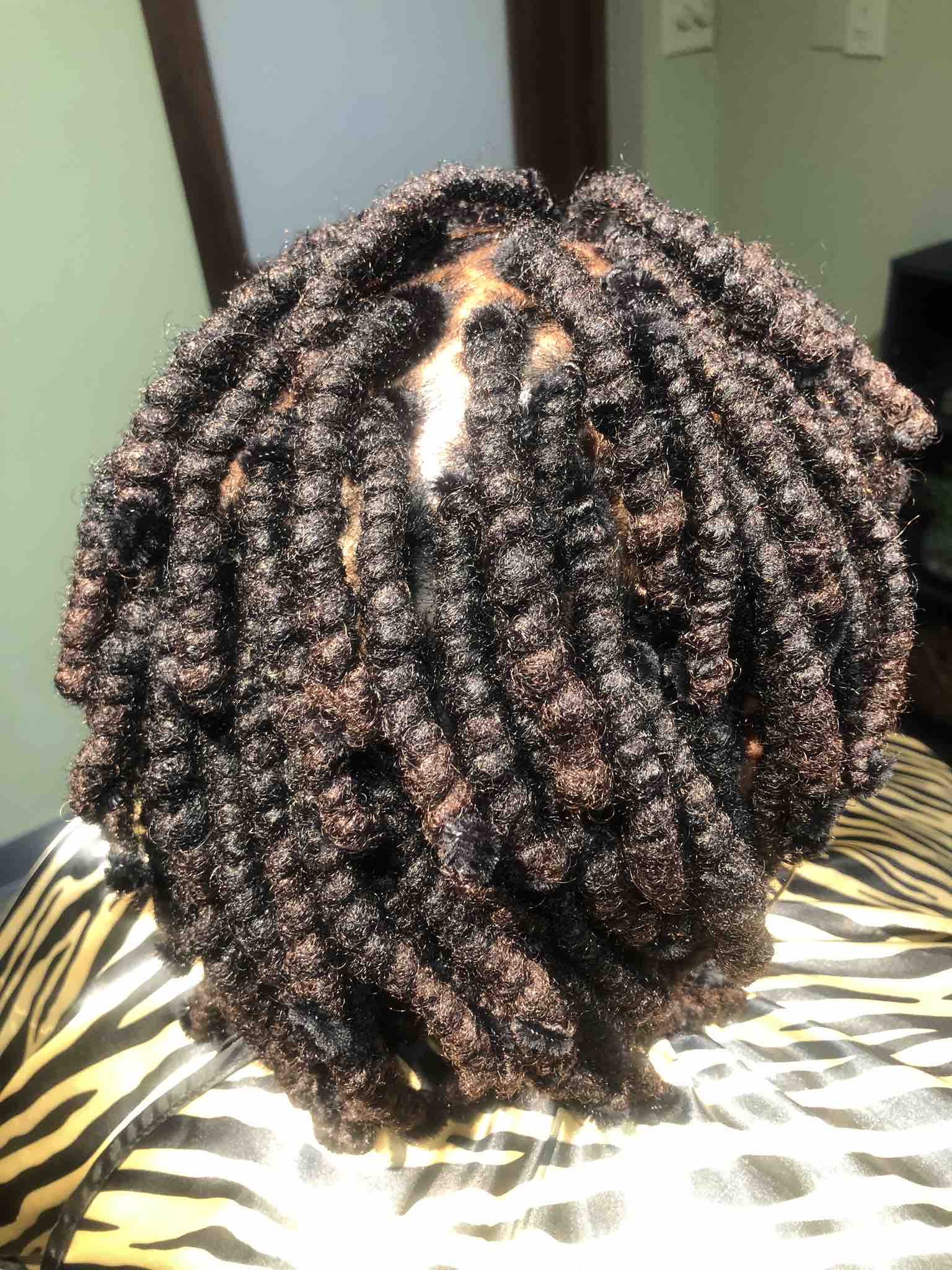 Pipe Cleaners
