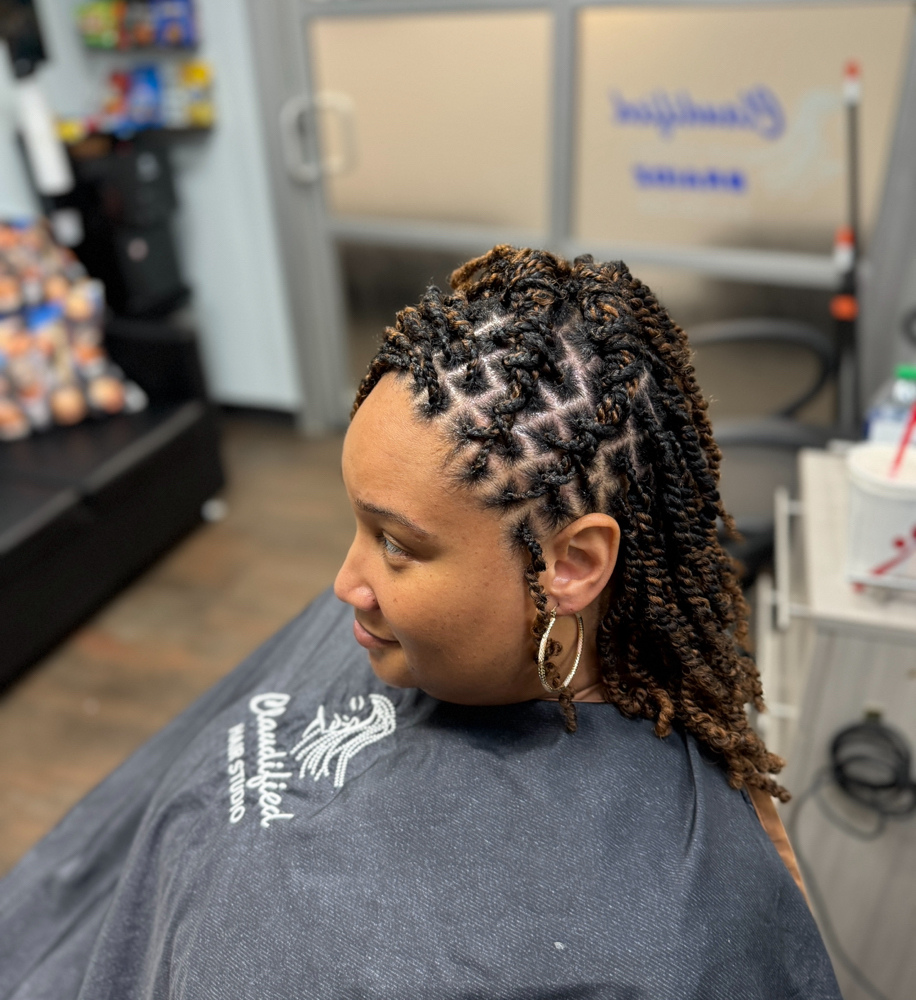 Twist braids (small) adult