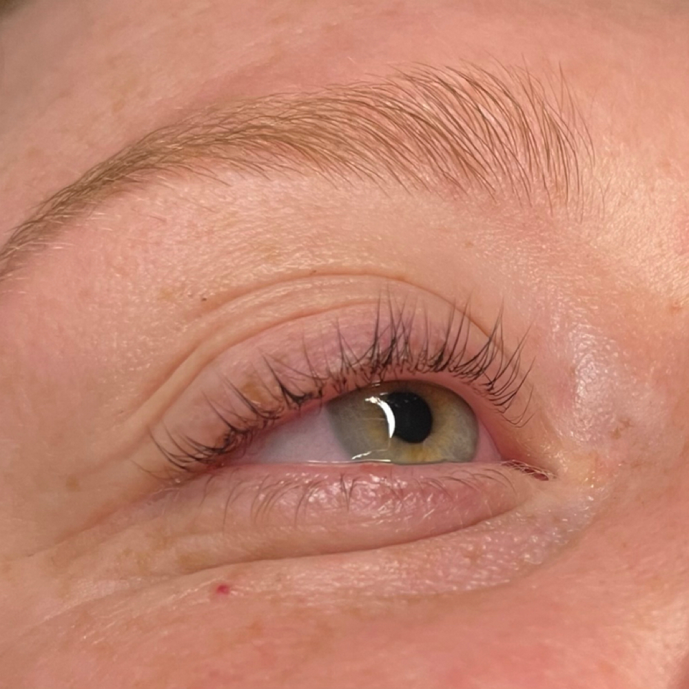 Eyelash Tint at Body by Bry in Humble, TX