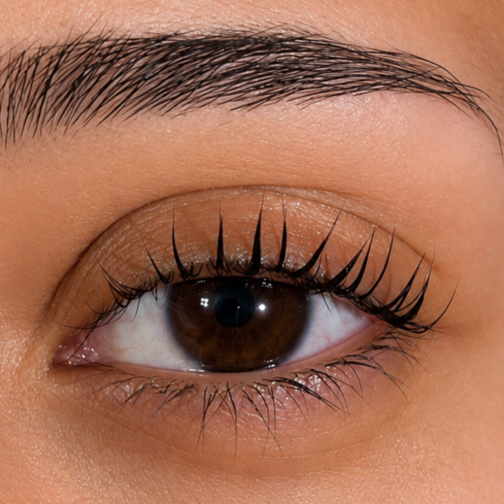 Lash Lift (no Tint) at Lashes by Acacia in Grand Junction, CO