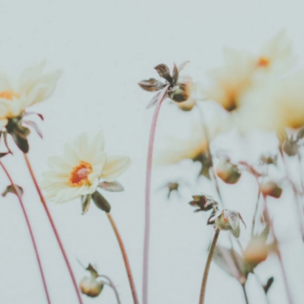 All Over Color  & Blowdry at Oxford&Mane in Oxford, NC