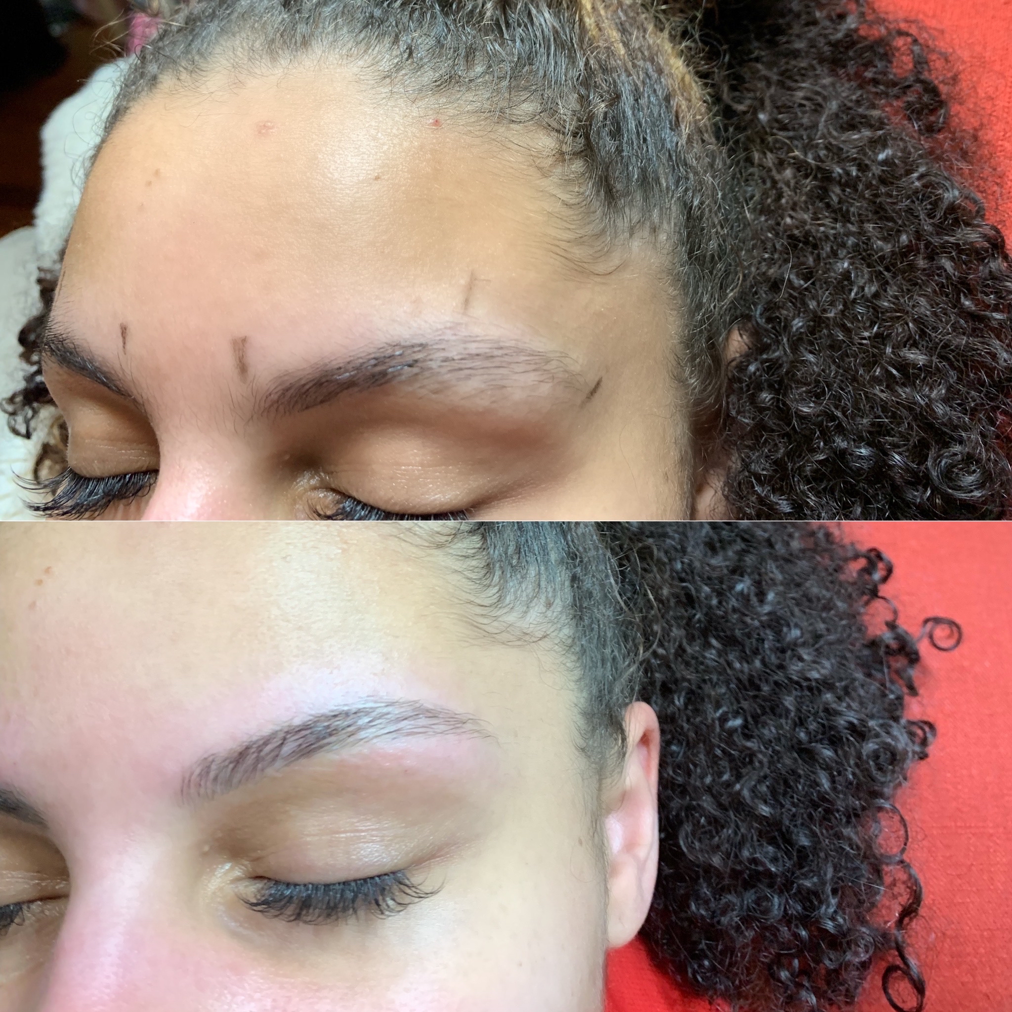 Brow Wax + Tint