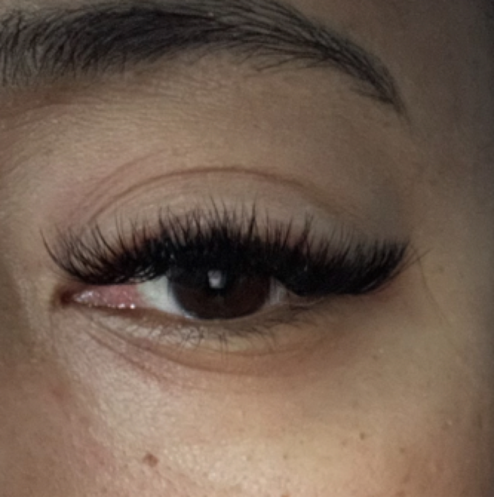 The Vixen : Mega Lash Set at ✨Wild Willow Esthetics in Sumrall, MS