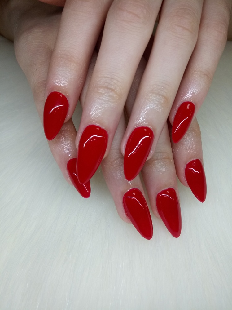 Acrylic Shellac Fill-Ins